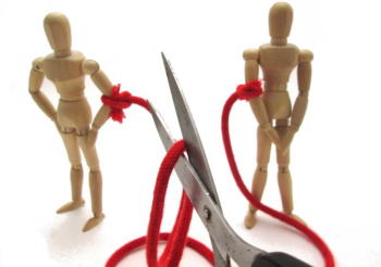 �����񍐎ʐ^